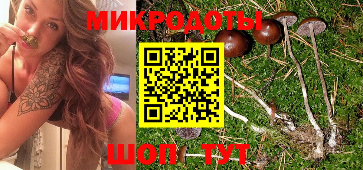 Чистополь  Псилоцибиновые грибы MAGIC MUSHROOMS  купить   Галлюциногенные грибы Magic Shrooms  Вход с VPN 