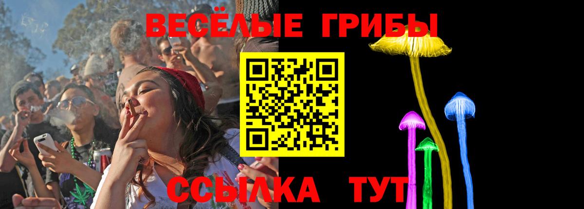 Псилоцибиновые грибы Psilocybine cubensis Чистополь